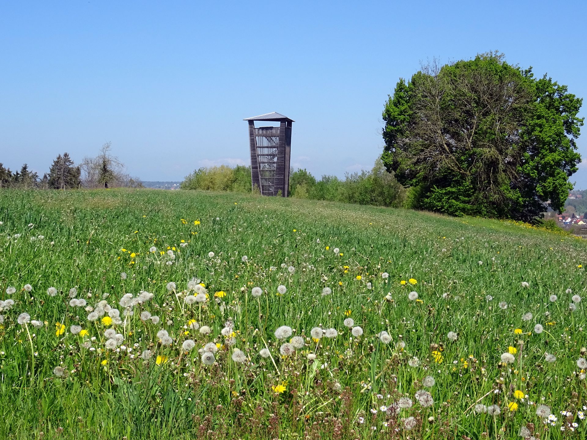 Amriswil Tower